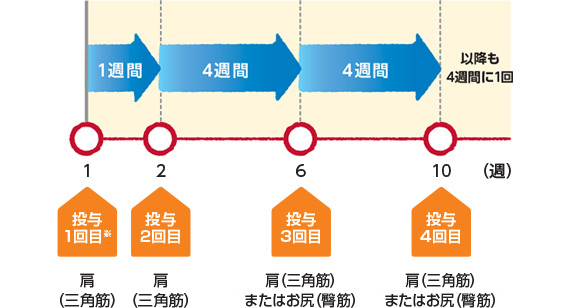 投与スケジュールについて